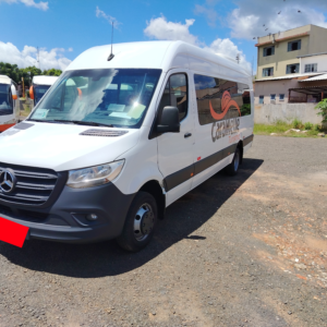 Van Sprinter 516 20l 2020